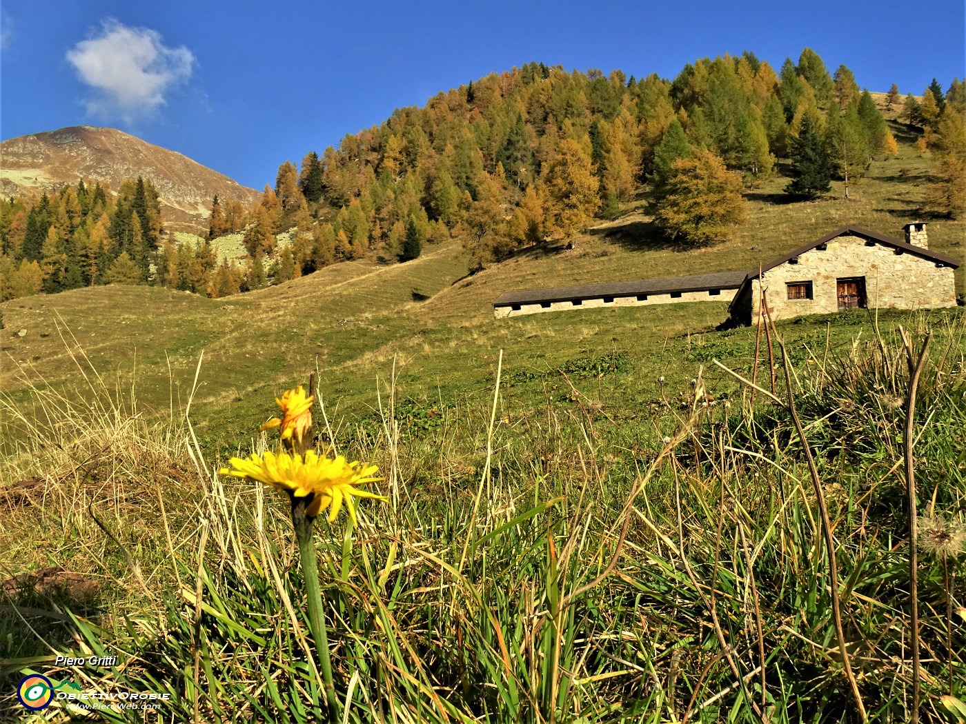 76 Sguardo indietro alla Baita Nuova (1759 m) e in alto il Valegino appena salito e sceso.JPG